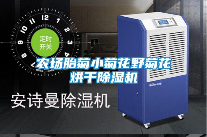 農場胎菊小菊花野菊花烘干除濕機