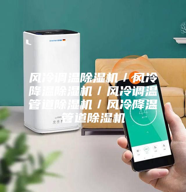 風(fēng)冷調(diào)溫除濕機(jī)/風(fēng)冷降溫除濕機(jī)/風(fēng)冷調(diào)溫管道除濕機(jī)/風(fēng)冷降溫管道除濕機(jī)