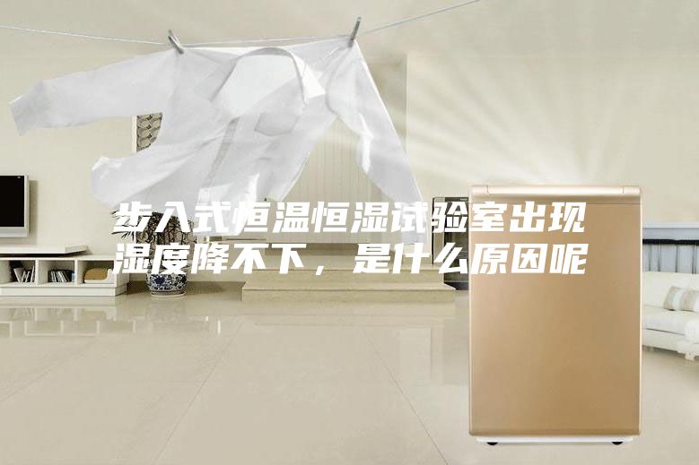 步入式恒溫恒濕試驗室出現濕度降不下,是什么原因呢