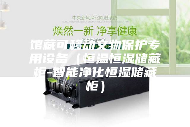 館藏可移動(dòng)文物保護(hù)專用設(shè)備（恒溫恒濕儲(chǔ)藏柜-智能凈化恒濕儲(chǔ)藏柜）