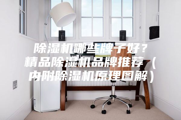 除濕機(jī)哪些牌子好?精品除濕機(jī)品牌推薦(內(nèi)附除濕機(jī)原理圖解)