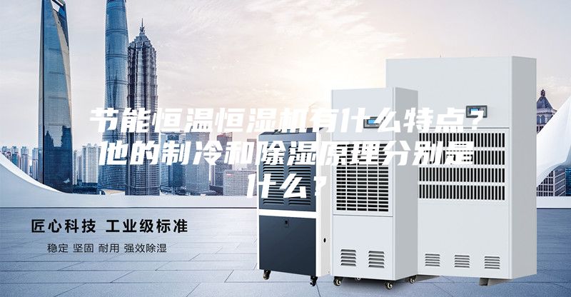 節(jié)能恒溫恒濕機(jī)有什么特點?他的制冷和除濕原理分別是什么?