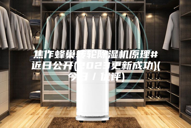 焦作蜂巢轉(zhuǎn)輪除濕機原理#近日公開(2023更新成功)(今日／優(yōu)評)