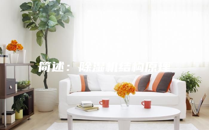 簡述:除濕機結構原理