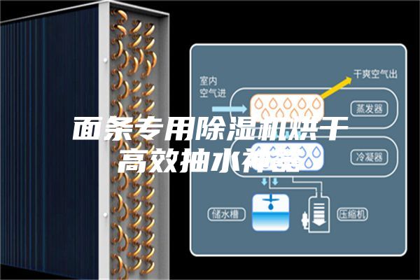 面條專用除濕機(jī)烘干高效抽水神器