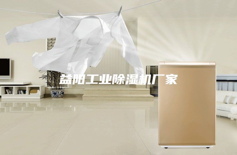 益陽(yáng)工業(yè)除濕機(jī)廠家