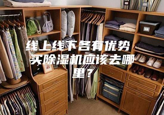 線上線下各有優勢 買除濕機應該去哪里?