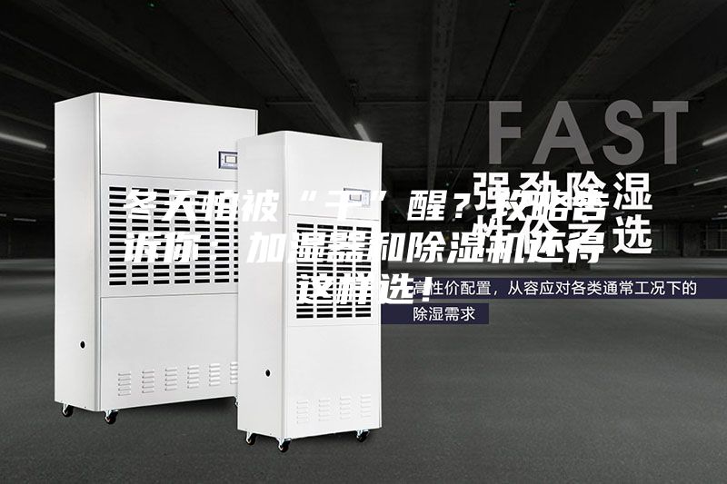 冬天怕被“干”醒？攻略告訴你：加濕器和除濕機還得這樣選！