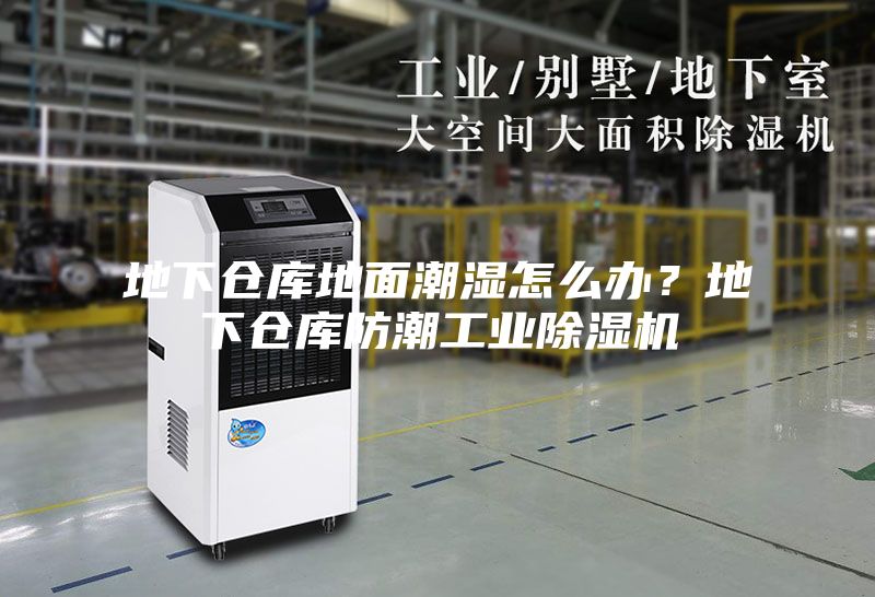 地下倉庫地面潮濕怎么辦？地下倉庫防潮工業(yè)除濕機(jī)