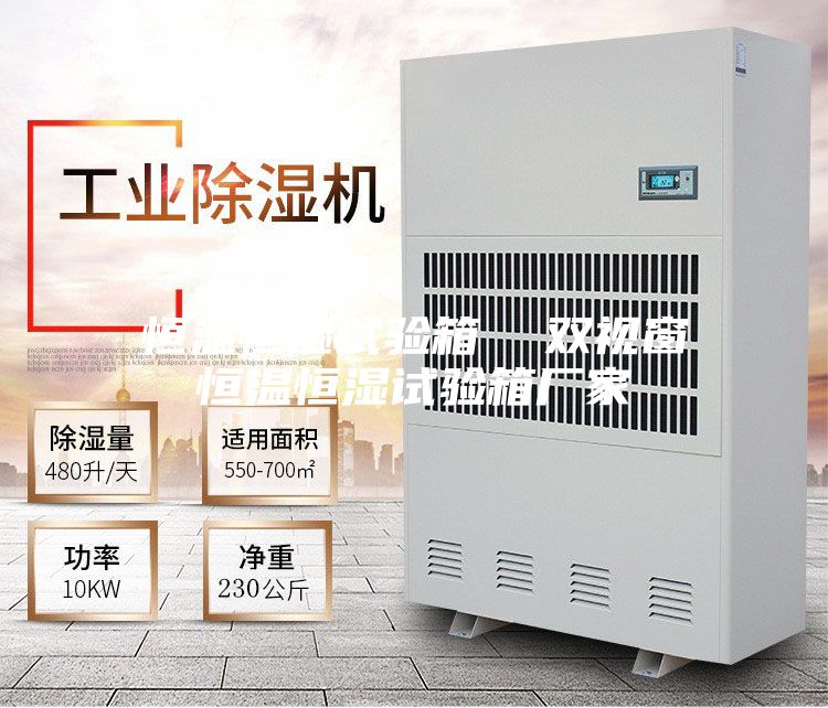 恒溫恒濕試驗(yàn)箱 雙視窗恒溫恒濕試驗(yàn)箱廠家