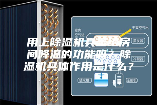 用上除濕機具備給房間降溫的功能嗎?除濕機具體作用是什么?