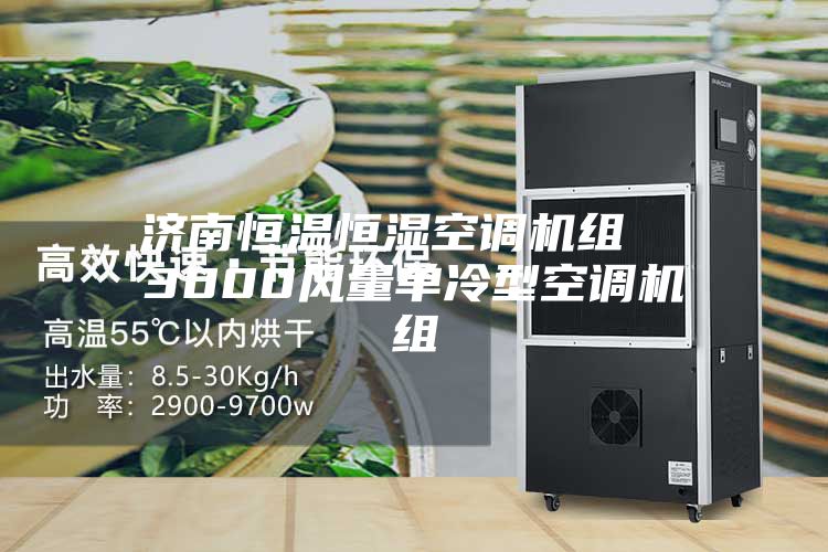 濟(jì)南恒溫恒濕空調(diào)機組 3000風(fēng)量單冷型空調(diào)機組