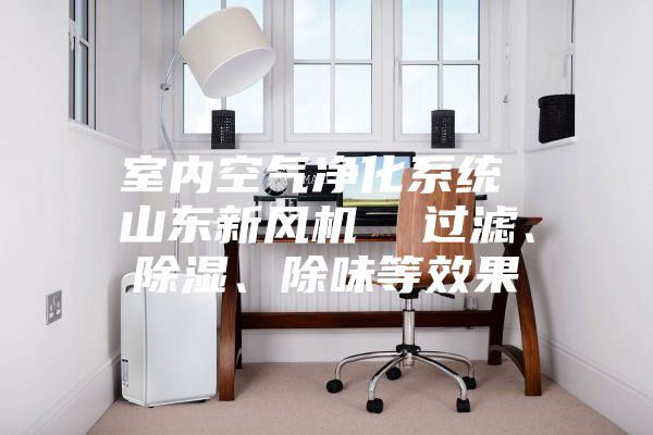 室內(nèi)空氣凈化系統(tǒng) 山東新風機  過濾、除濕、除味等效果