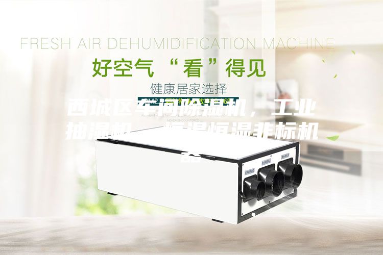 西城區(qū)車間除濕機，工業(yè)抽濕機  恒溫恒濕非標機器