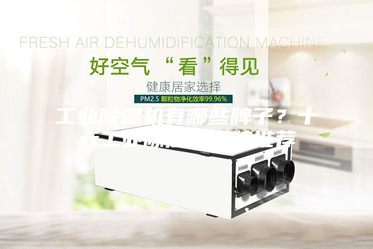 工業(yè)除濕機(jī)有哪些牌子?十大工業(yè)除濕機(jī)品牌推薦