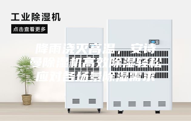 降雨澆滅高溫,安詩曼除濕機高效除濕輕松應對各場景除濕需求