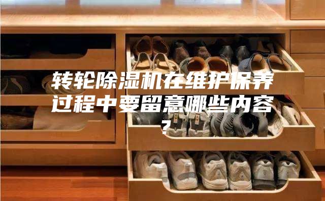 轉輪除濕機在維護保養過程中要留意哪些內容?