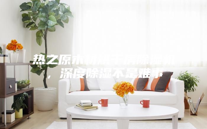 熱之原木材烘干房除濕機,深度除濕不是難事