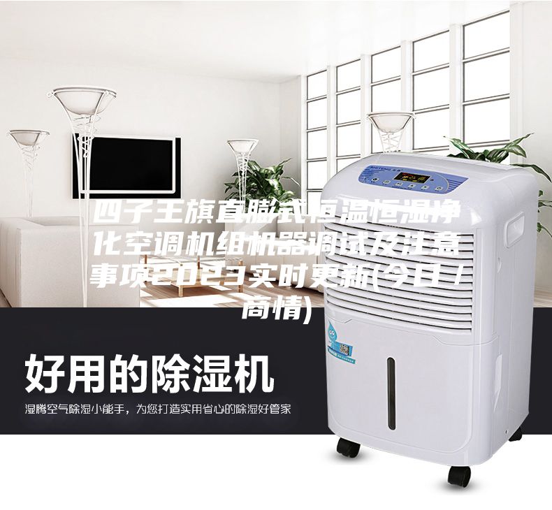四子王旗直膨式恒溫恒濕凈化空調(diào)機(jī)組機(jī)器調(diào)試及注意事項(xiàng)2023實(shí)時(shí)更新(今日/商情)