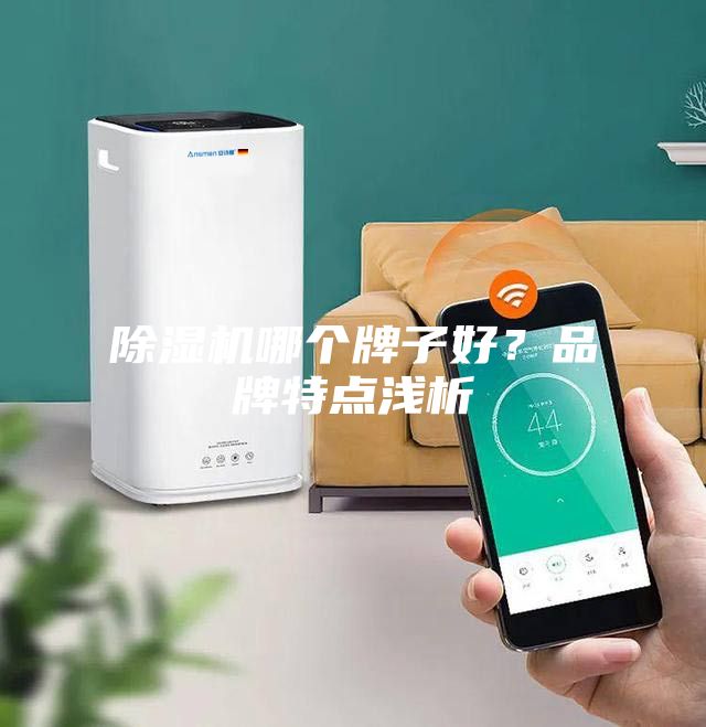 除濕機哪個牌子好？品牌特點淺析