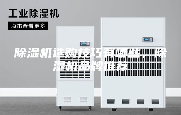 除濕機選購技巧有哪些,除濕機品牌推薦