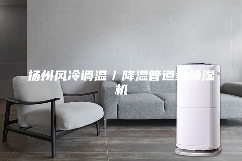 揚州風冷調溫/降溫管道型除濕機