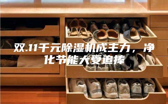 雙.11千元除濕機成主力，凈化節能大受追捧