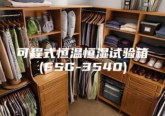 可程式恒溫恒濕試驗(yàn)箱(FSG-3540)