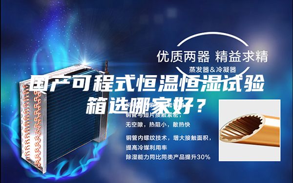 國產(chǎn)可程式恒溫恒濕試驗箱選哪家好?