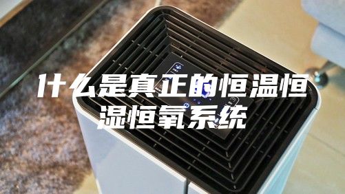 什么是真正的恒溫恒濕恒氧系統(tǒng)