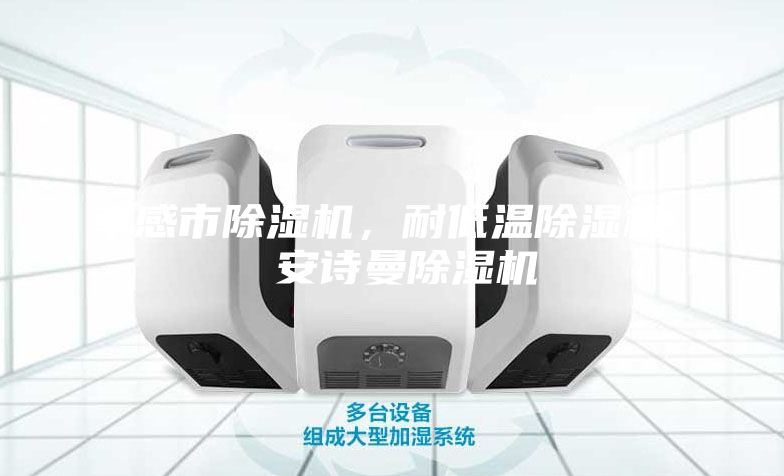 孝感市除濕機，耐低溫除濕機  安詩曼除濕機