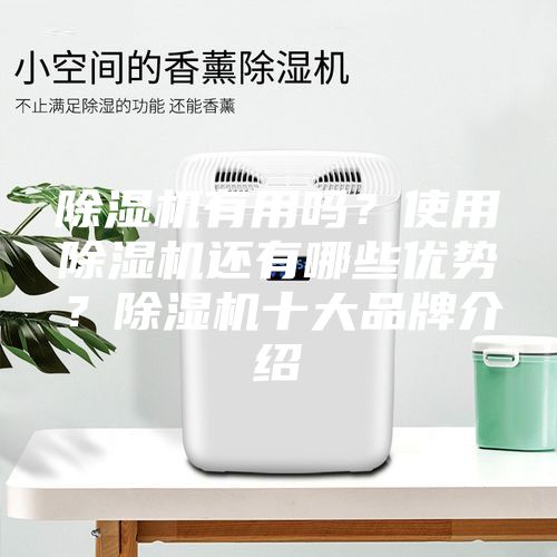 除濕機有用嗎?使用除濕機還有哪些優勢?除濕機十大品牌介紹