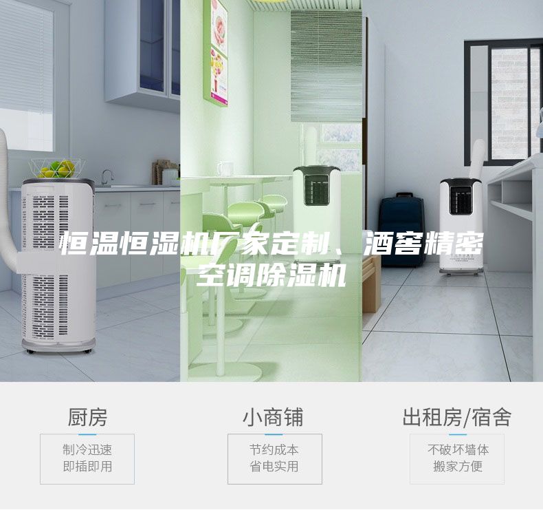 恒溫恒濕機(jī)廠家定制、酒窖精密空調(diào)除濕機(jī)