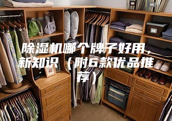 除濕機哪個牌子好用，新知識（附6款優品推薦）