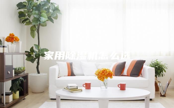 家用除濕機怎么選