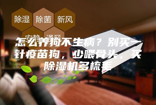 怎么養狗不生病?別買一針疫苗狗,少喂骨頭,買除濕機多梳毛