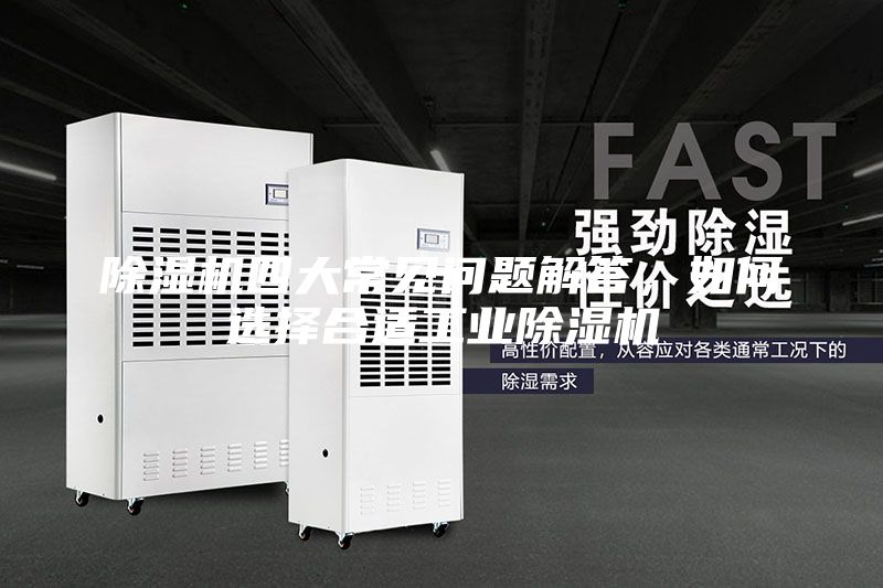 除濕機四大常見問題解答，如何選擇合適工業除濕機
