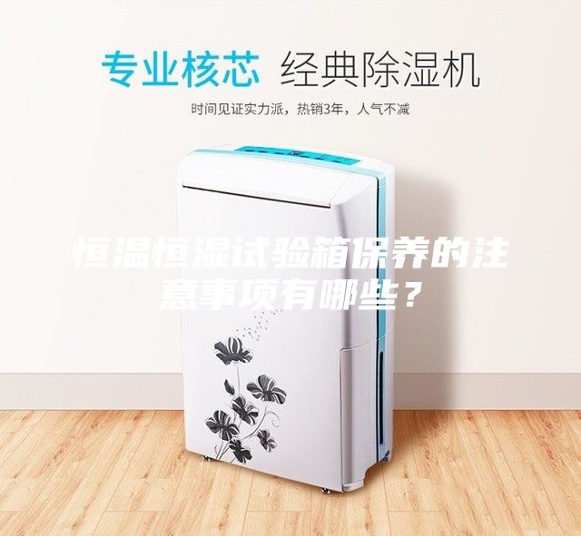 恒溫恒濕試驗箱保養(yǎng)的注意事項有哪些？