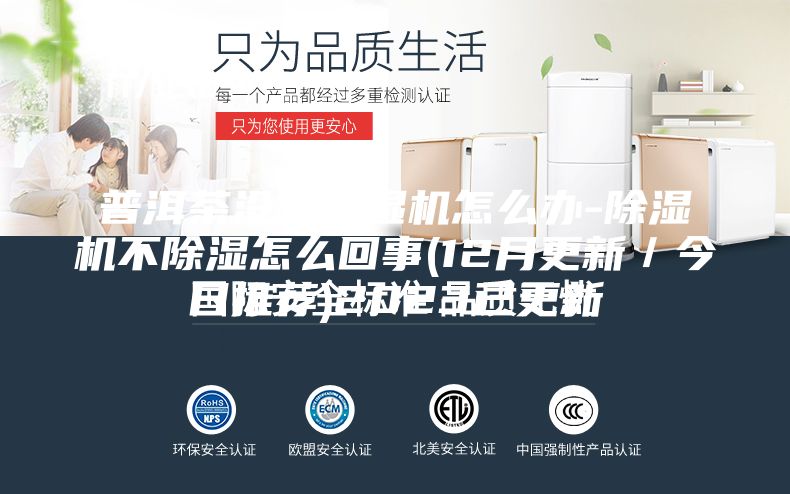 普洱茶沒(méi)有除濕機(jī)怎么辦-除濕機(jī)不除濕怎么回事(12月更新／今日推薦)2023已更新