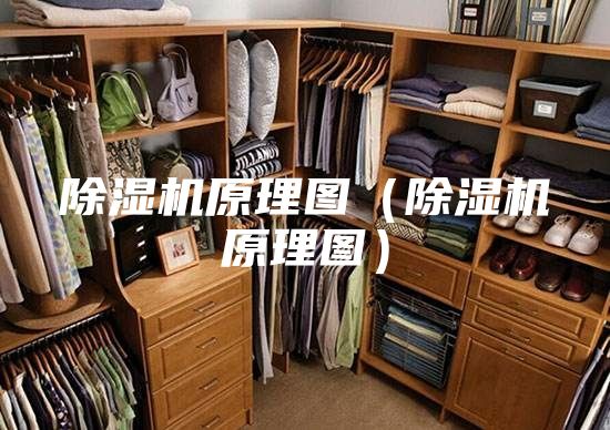 除濕機原理圖（除濕機原理圖）