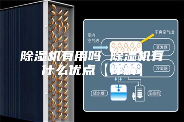 除濕機有用嗎 除濕機有什么優(yōu)點【詳解】