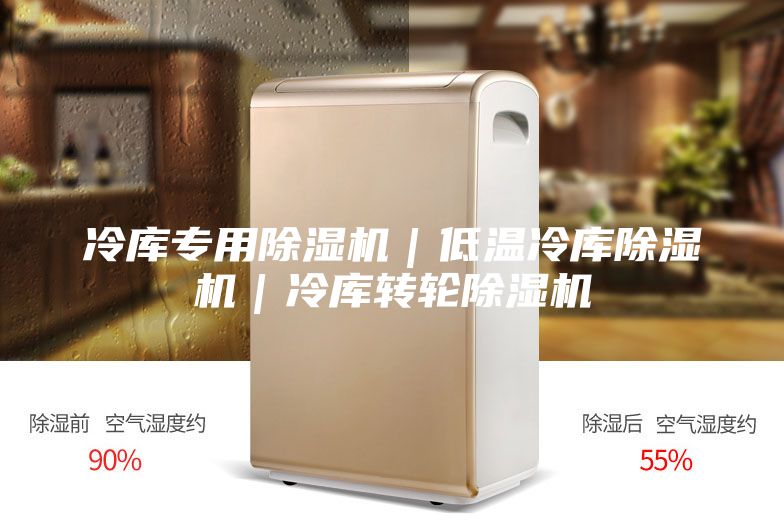 冷庫專用除濕機｜低溫冷庫除濕機｜冷庫轉輪除濕機