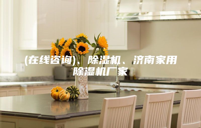 (在線咨詢)、除濕機、濟南家用除濕機廠家