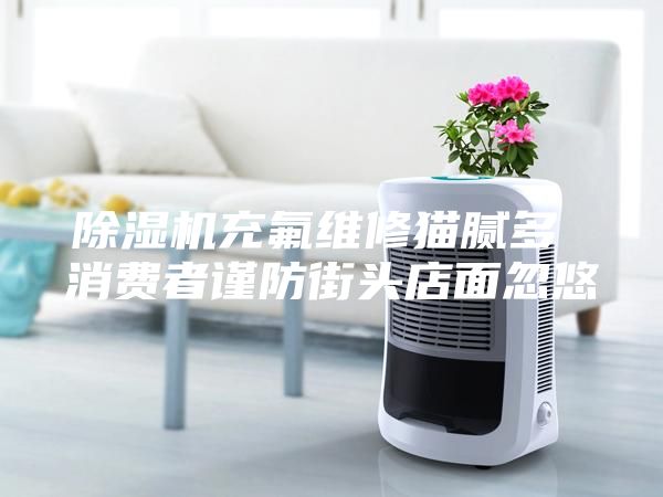 除濕機(jī)充氟維修貓膩多 消費(fèi)者謹(jǐn)防街頭店面忽悠