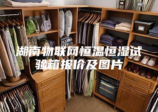 湖南物聯(lián)網(wǎng)恒溫恒濕試驗(yàn)箱報(bào)價(jià)及圖片