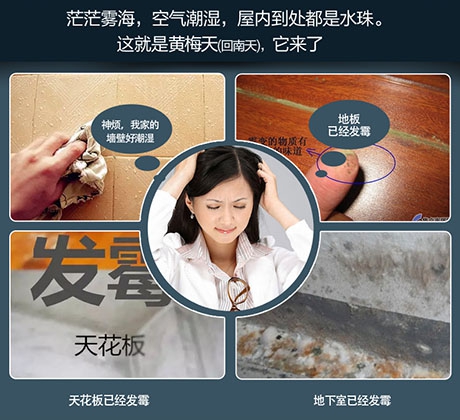 轉輪除濕機與一般除濕機相比有何不同？