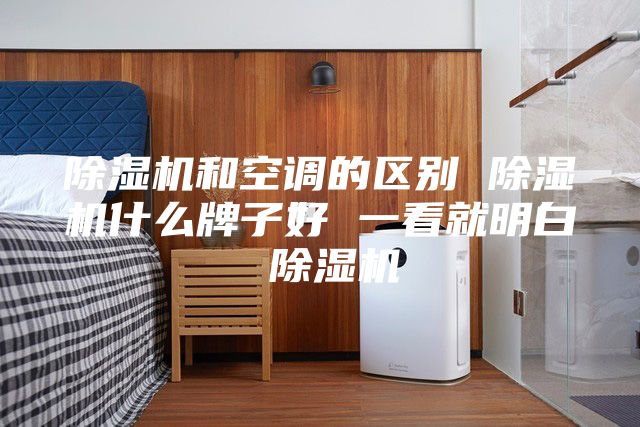 除濕機(jī)和空調(diào)的區(qū)別 除濕機(jī)什么牌子好 一看就明白 除濕機(jī)