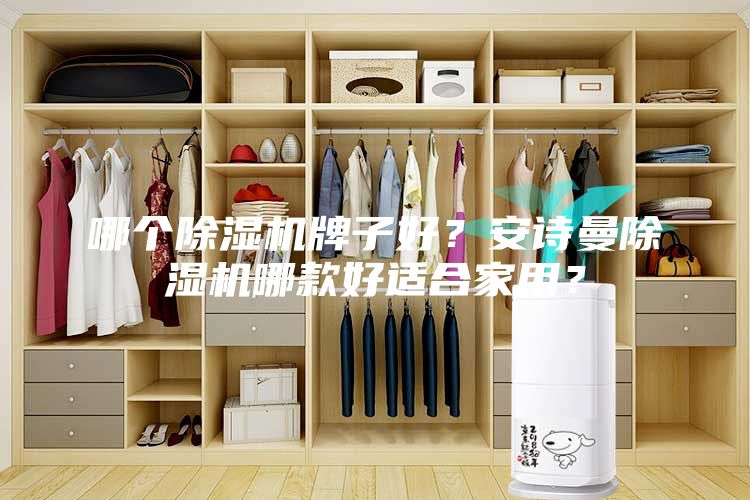 哪個除濕機牌子好?安詩曼除濕機哪款好適合家用?