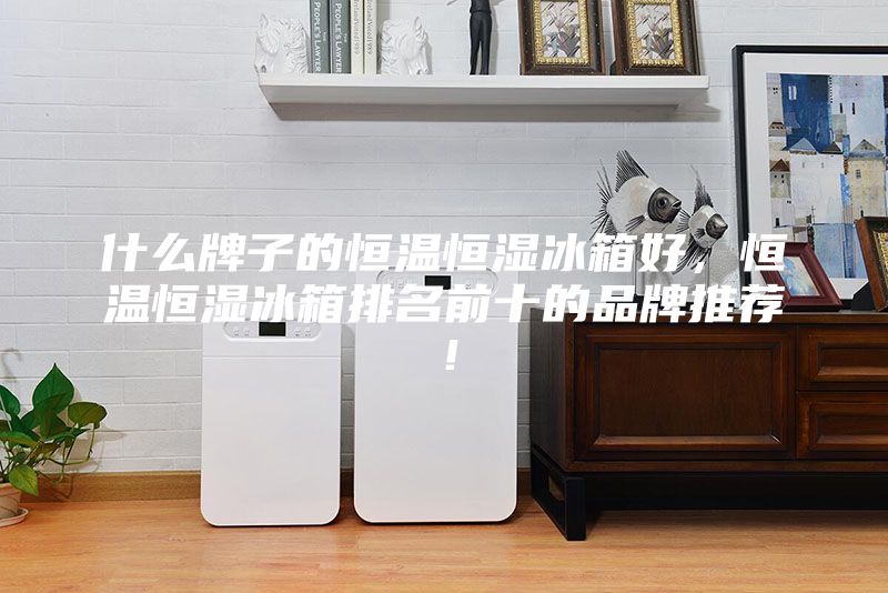 什么牌子的恒溫恒濕冰箱好，恒溫恒濕冰箱排名前十的品牌推薦！