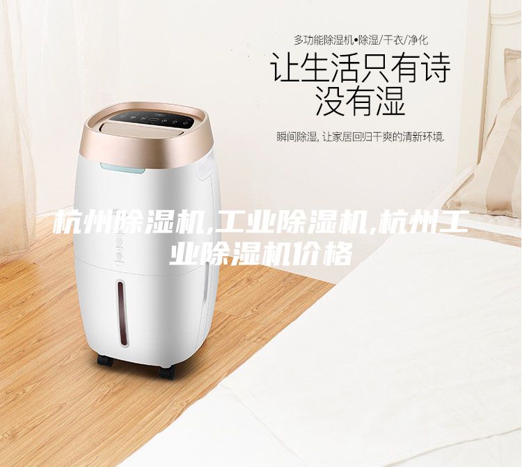 杭州除濕機(jī),工業(yè)除濕機(jī),杭州工業(yè)除濕機(jī)價格